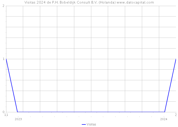 Visitas 2024 de P.H. Bobeldijk Consult B.V. (Holanda) 