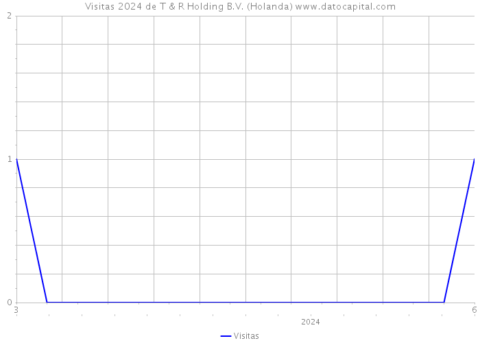 Visitas 2024 de T & R Holding B.V. (Holanda) 