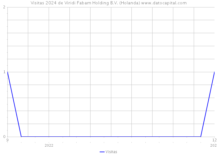 Visitas 2024 de Viridi Fabam Holding B.V. (Holanda) 