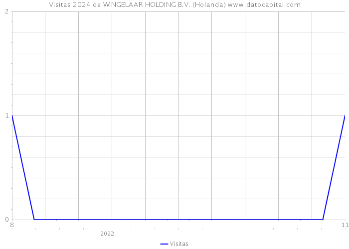 Visitas 2024 de WINGELAAR HOLDING B.V. (Holanda) 