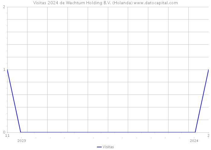 Visitas 2024 de Wachtum Holding B.V. (Holanda) 