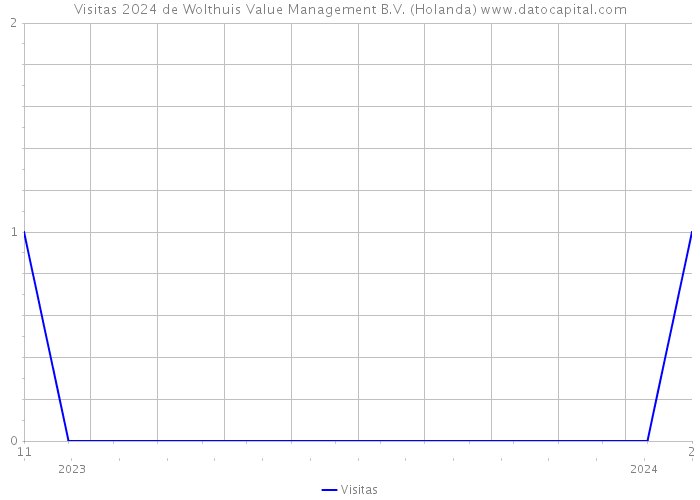Visitas 2024 de Wolthuis Value Management B.V. (Holanda) 
