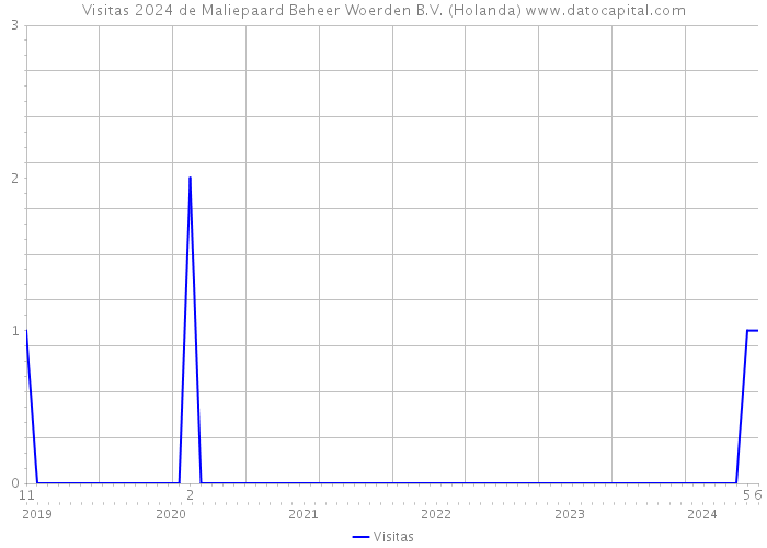 Visitas 2024 de Maliepaard Beheer Woerden B.V. (Holanda) 