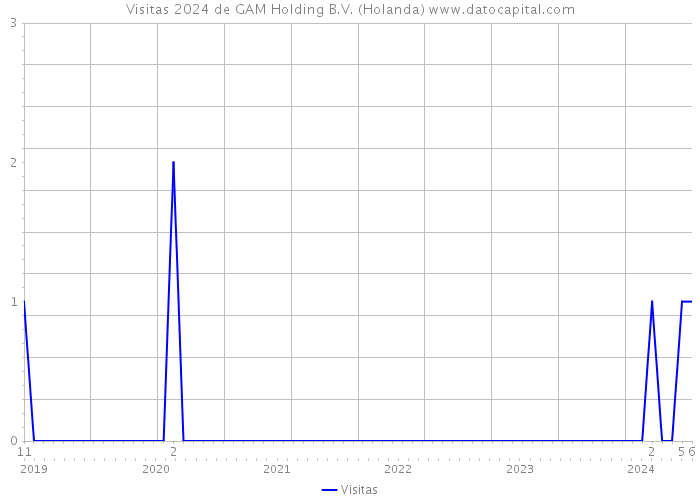 Visitas 2024 de GAM Holding B.V. (Holanda) 