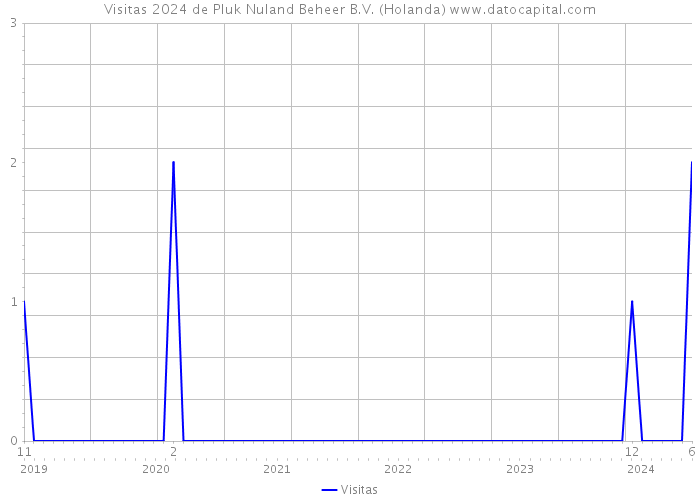 Visitas 2024 de Pluk Nuland Beheer B.V. (Holanda) 