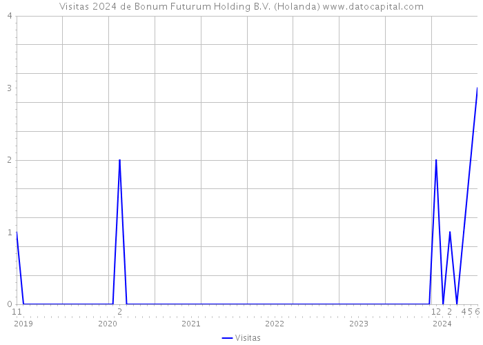 Visitas 2024 de Bonum Futurum Holding B.V. (Holanda) 