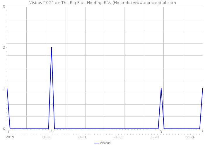 Visitas 2024 de The Big Blue Holding B.V. (Holanda) 