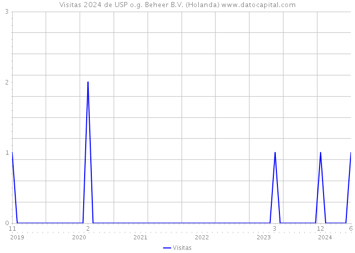 Visitas 2024 de USP o.g. Beheer B.V. (Holanda) 