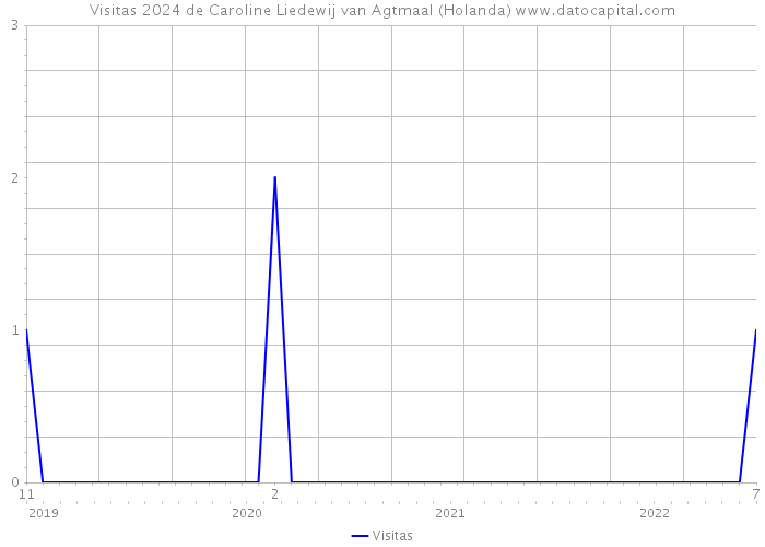 Visitas 2024 de Caroline Liedewij van Agtmaal (Holanda) 