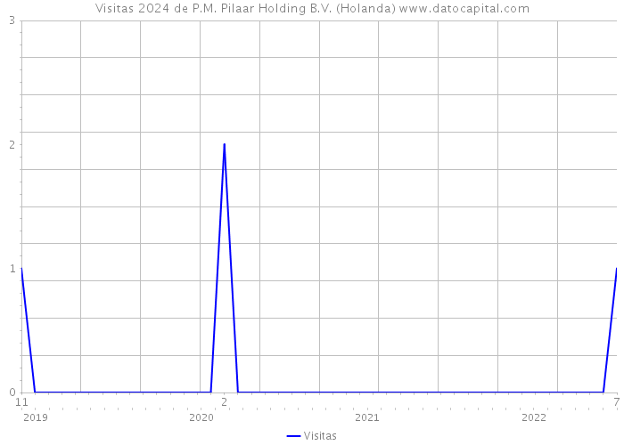 Visitas 2024 de P.M. Pilaar Holding B.V. (Holanda) 