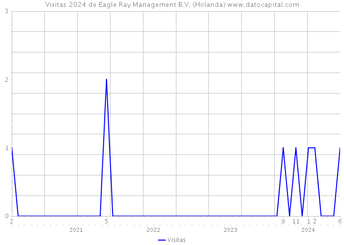 Visitas 2024 de Eagle Ray Management B.V. (Holanda) 