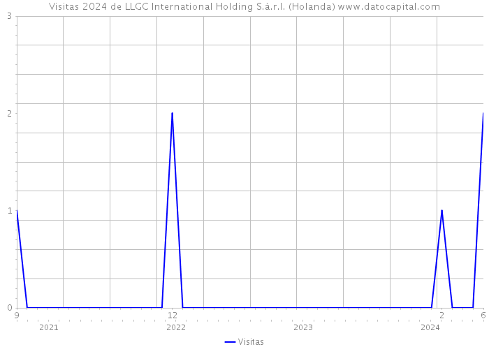 Visitas 2024 de LLGC International Holding S.à.r.l. (Holanda) 