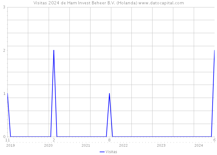 Visitas 2024 de Ham Invest Beheer B.V. (Holanda) 