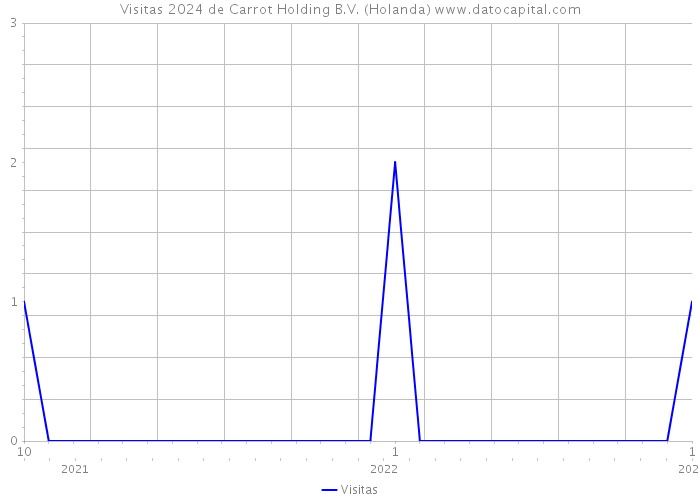 Visitas 2024 de Carrot Holding B.V. (Holanda) 