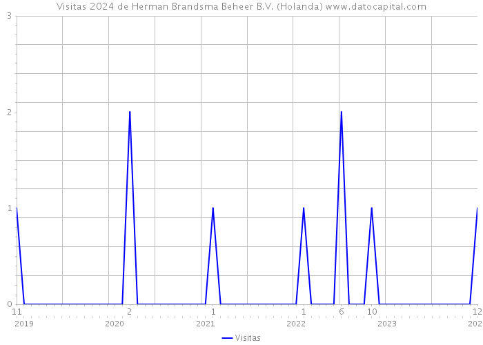 Visitas 2024 de Herman Brandsma Beheer B.V. (Holanda) 