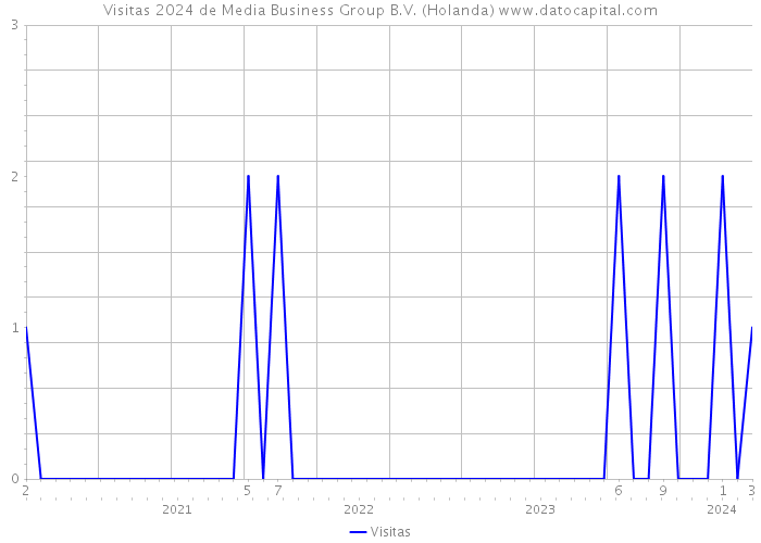 Visitas 2024 de Media Business Group B.V. (Holanda) 