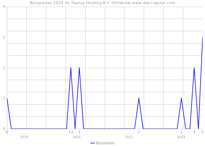 Búsquedas 2024 de Taurus Holding B.V. (Holanda) 