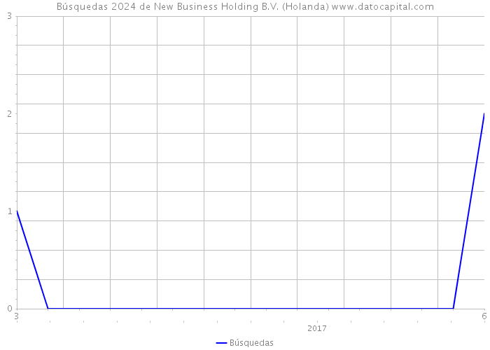 Búsquedas 2024 de New Business Holding B.V. (Holanda) 