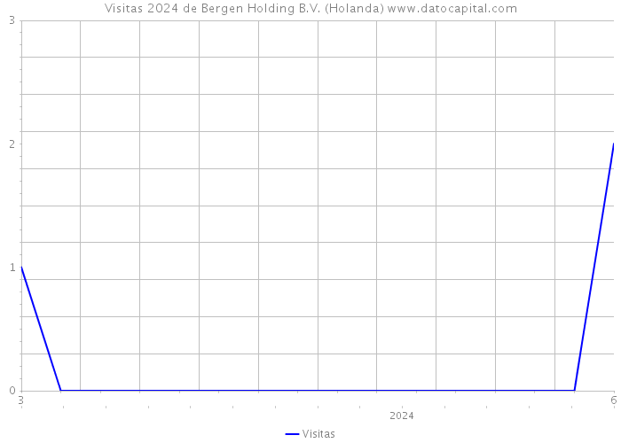 Visitas 2024 de Bergen Holding B.V. (Holanda) 