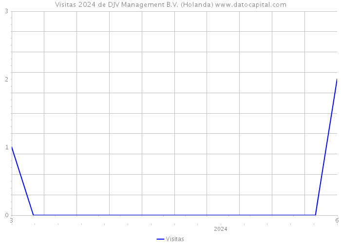 Visitas 2024 de DJV Management B.V. (Holanda) 