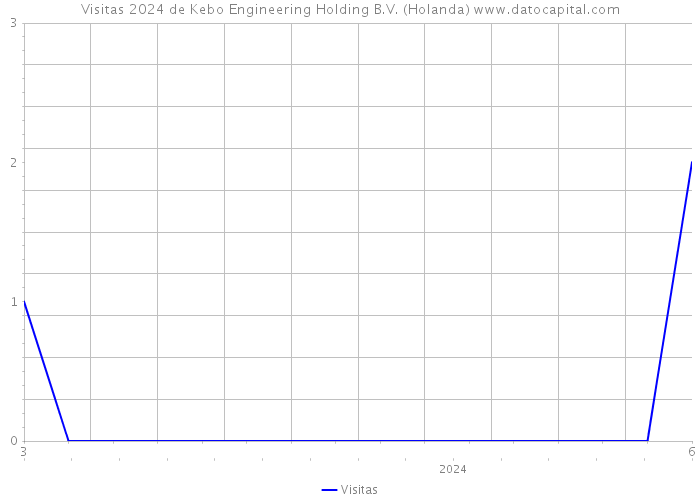 Visitas 2024 de Kebo Engineering Holding B.V. (Holanda) 
