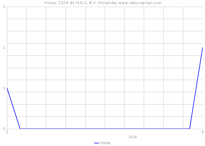 Visitas 2024 de N.A.G. B.V. (Holanda) 