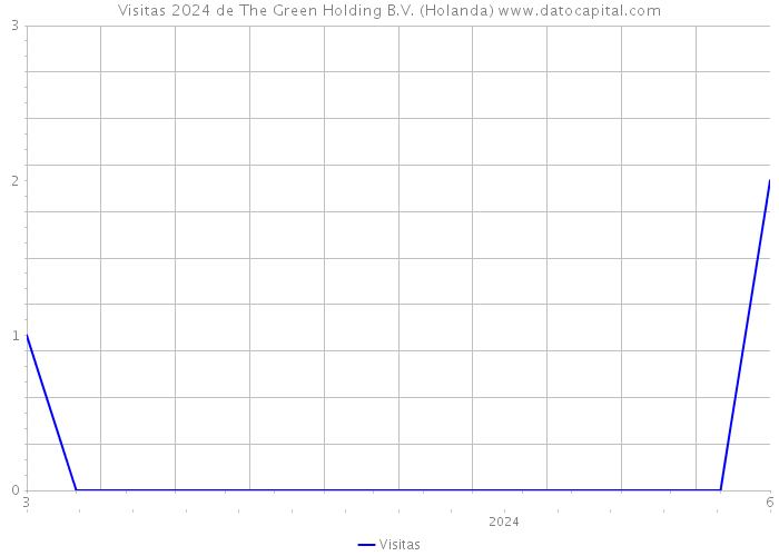 Visitas 2024 de The Green Holding B.V. (Holanda) 