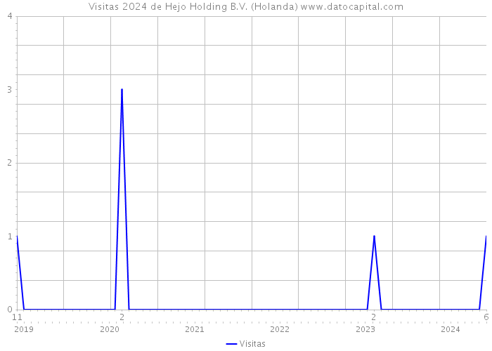 Visitas 2024 de Hejo Holding B.V. (Holanda) 