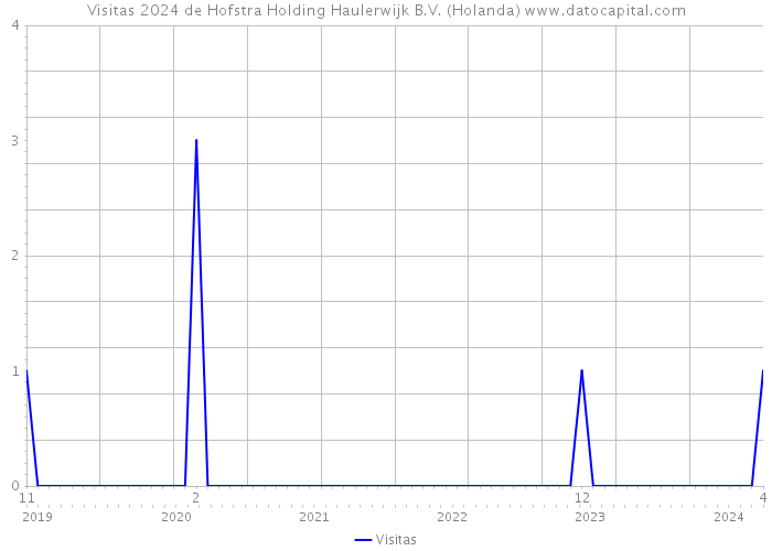Visitas 2024 de Hofstra Holding Haulerwijk B.V. (Holanda) 