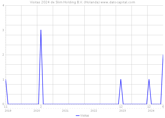 Visitas 2024 de Slim Holding B.V. (Holanda) 