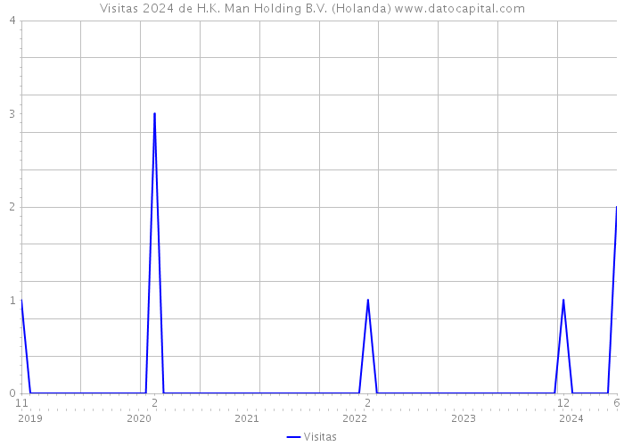 Visitas 2024 de H.K. Man Holding B.V. (Holanda) 