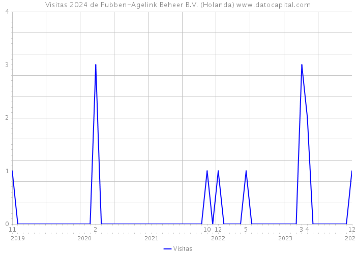 Visitas 2024 de Pubben-Agelink Beheer B.V. (Holanda) 