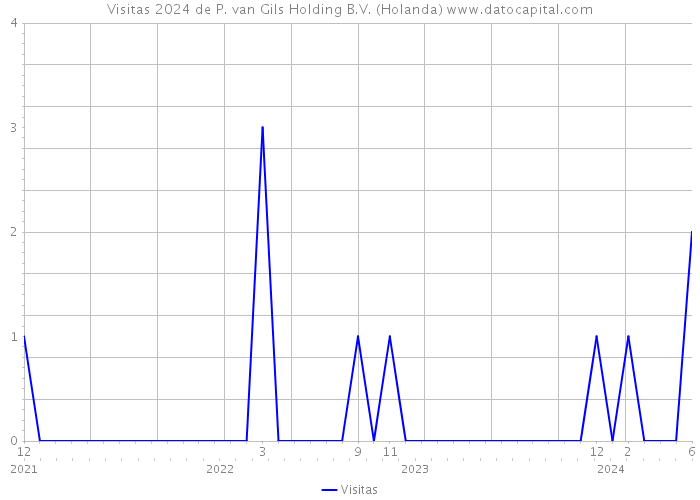 Visitas 2024 de P. van Gils Holding B.V. (Holanda) 