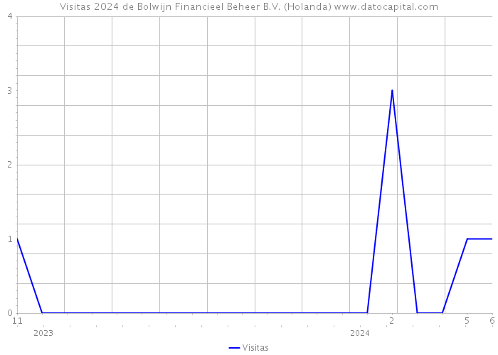 Visitas 2024 de Bolwijn Financieel Beheer B.V. (Holanda) 