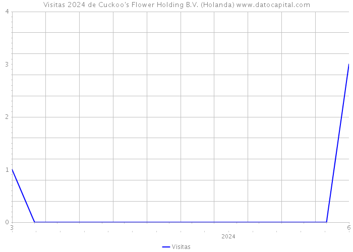 Visitas 2024 de Cuckoo's Flower Holding B.V. (Holanda) 