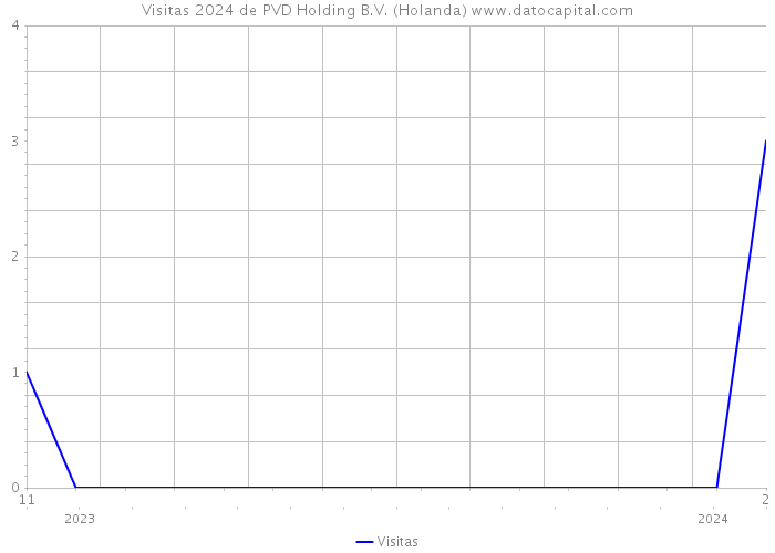 Visitas 2024 de PVD Holding B.V. (Holanda) 