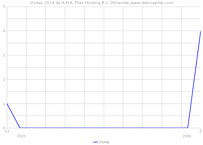 Visitas 2024 de A.H.A. Flier Holding B.V. (Holanda) 