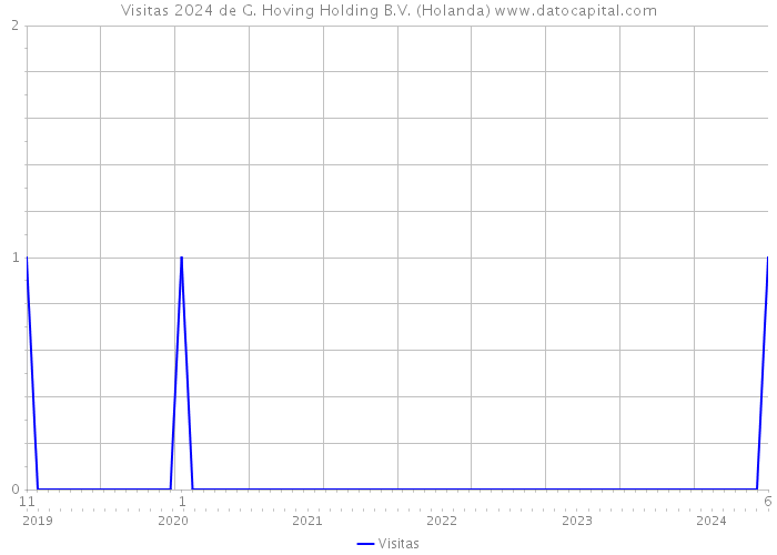 Visitas 2024 de G. Hoving Holding B.V. (Holanda) 