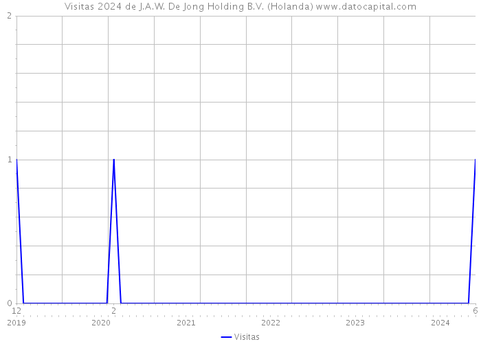 Visitas 2024 de J.A.W. De Jong Holding B.V. (Holanda) 