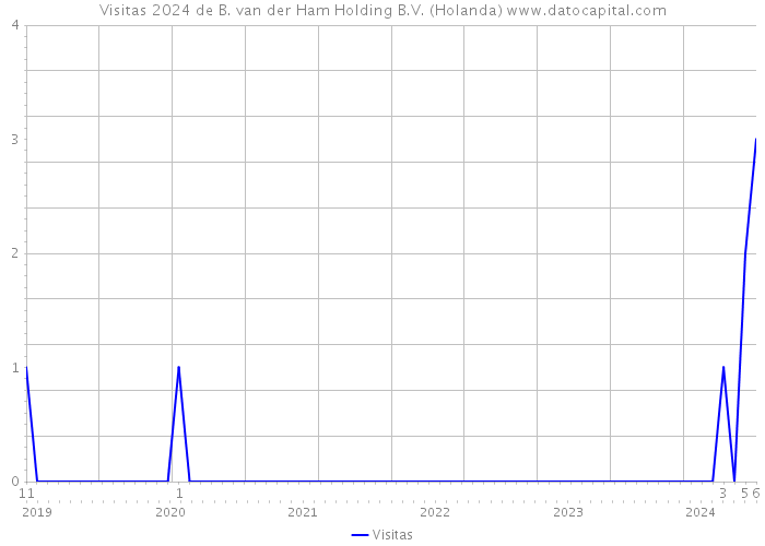 Visitas 2024 de B. van der Ham Holding B.V. (Holanda) 