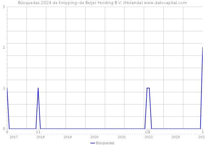 Búsquedas 2024 de Knipping-de Beijer Holding B.V. (Holanda) 