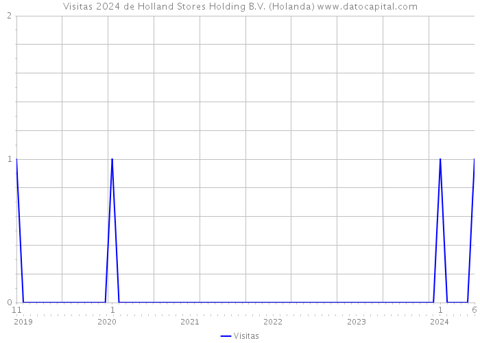 Visitas 2024 de Holland Stores Holding B.V. (Holanda) 
