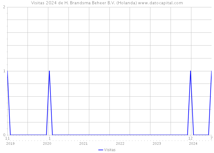 Visitas 2024 de H. Brandsma Beheer B.V. (Holanda) 