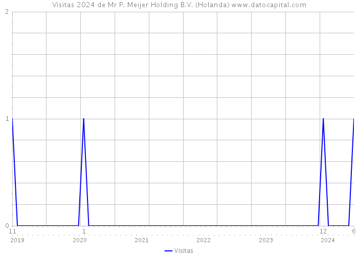 Visitas 2024 de Mr P. Meijer Holding B.V. (Holanda) 