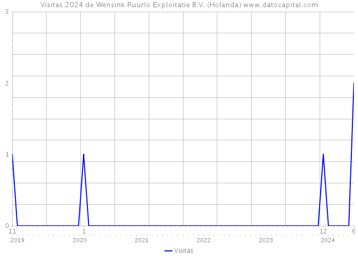 Visitas 2024 de Wensink Ruurlo Exploitatie B.V. (Holanda) 