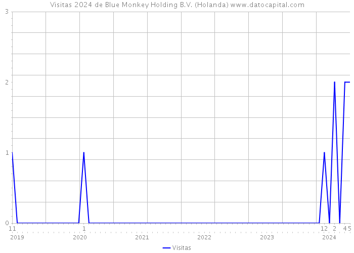 Visitas 2024 de Blue Monkey Holding B.V. (Holanda) 