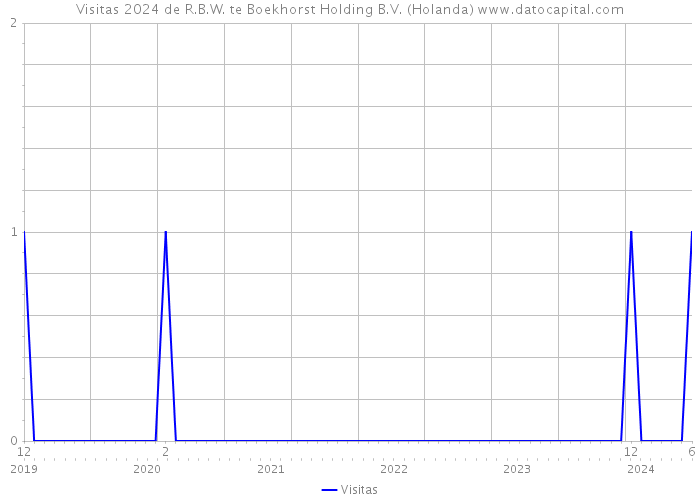 Visitas 2024 de R.B.W. te Boekhorst Holding B.V. (Holanda) 