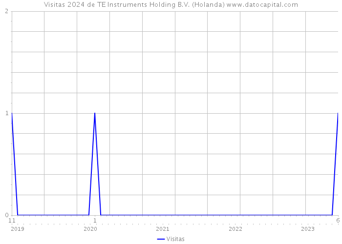 Visitas 2024 de TE Instruments Holding B.V. (Holanda) 