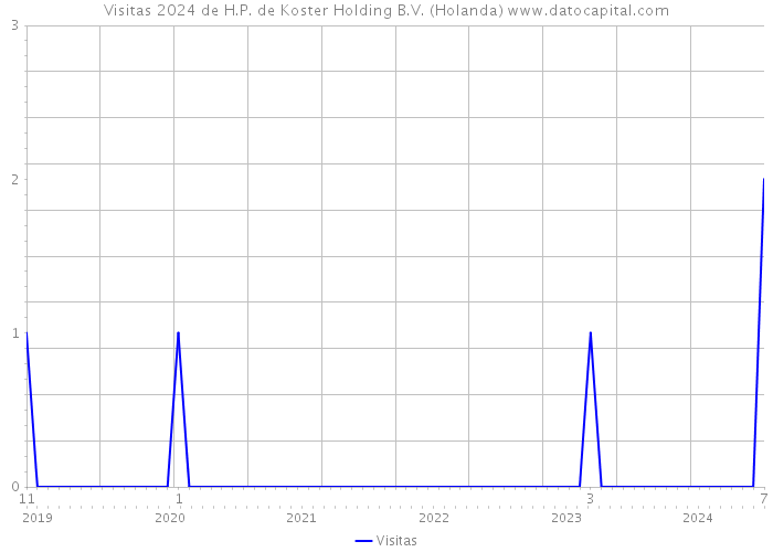 Visitas 2024 de H.P. de Koster Holding B.V. (Holanda) 