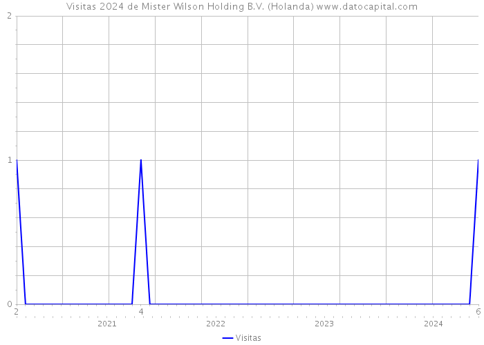 Visitas 2024 de Mister Wilson Holding B.V. (Holanda) 